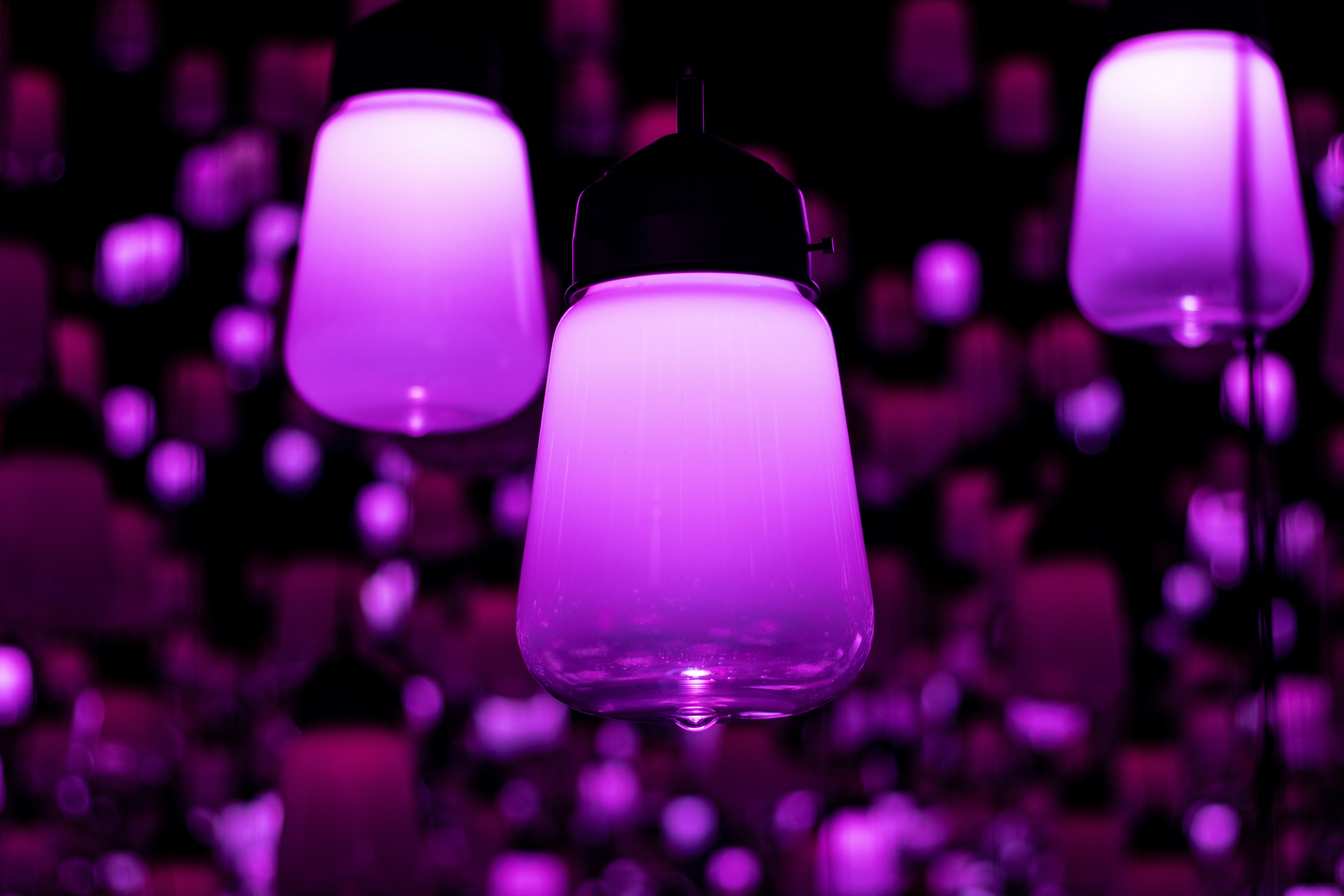 purple sky lanterns